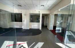 Spațiu comercial ultracentral de închiriat – 165 mp, Bd. Regele Mihai I