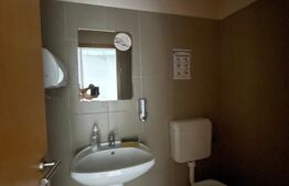 Spațiu comercial ultracentral de închiriat – 165 mp, Bd. Regele Mihai I