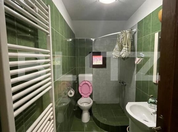 Spațiu comercial de vânzare Firiza - 176585SVC | BLITZ Baia Mare | Poza19