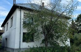 Oportunitate INVESTIE Industriala/Rezidentiala TG Lapus