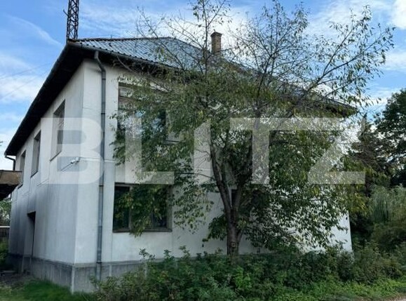 Teren de vânzare Targu Lapus - 176632TV | BLITZ Baia Mare | Poza8