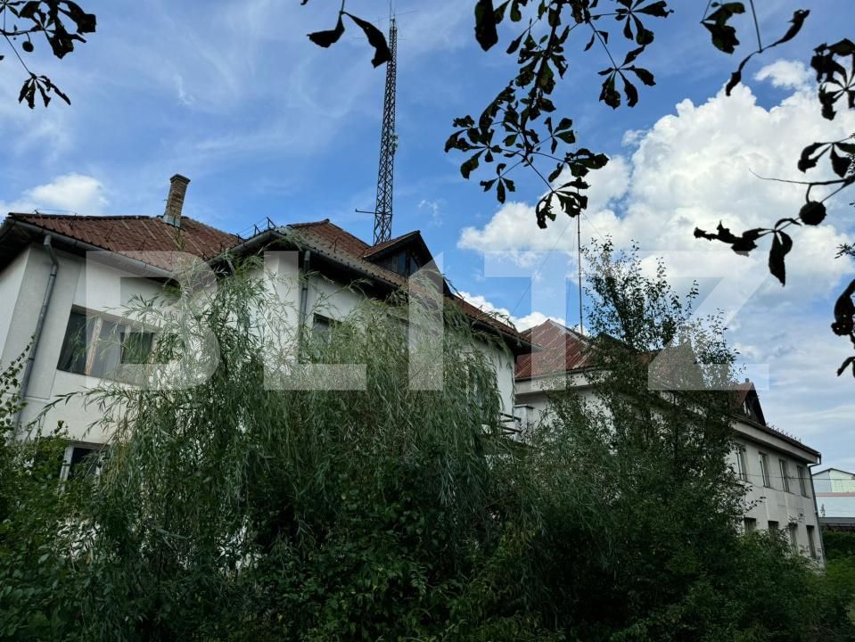 Teren de vânzare Targu Lapus - 176632TV | BLITZ Baia Mare | Poza5