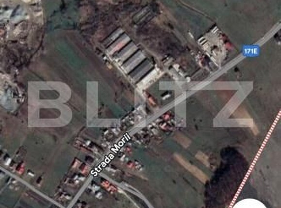 Teren de vânzare Targu Lapus - 176633TV | BLITZ Baia Mare | Poza2