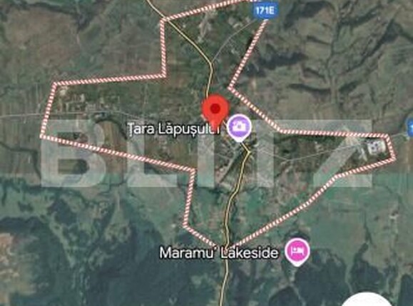 Teren de vânzare Targu Lapus - 176633TV | BLITZ Baia Mare | Poza1