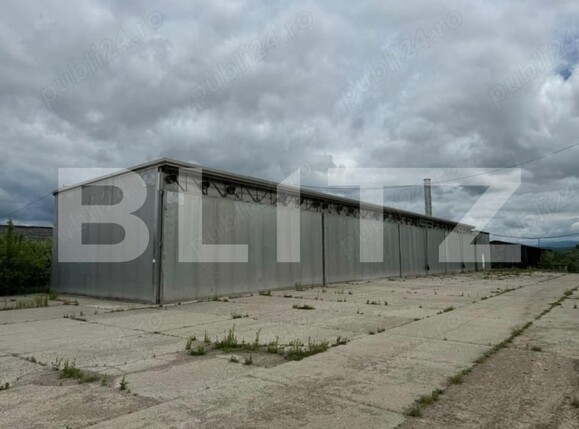 Teren de vânzare Targu Lapus - 176633TV | BLITZ Baia Mare | Poza5