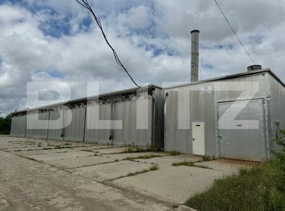 Teren de vânzare Targu Lapus - 176633TV | BLITZ Baia Mare | Poza4