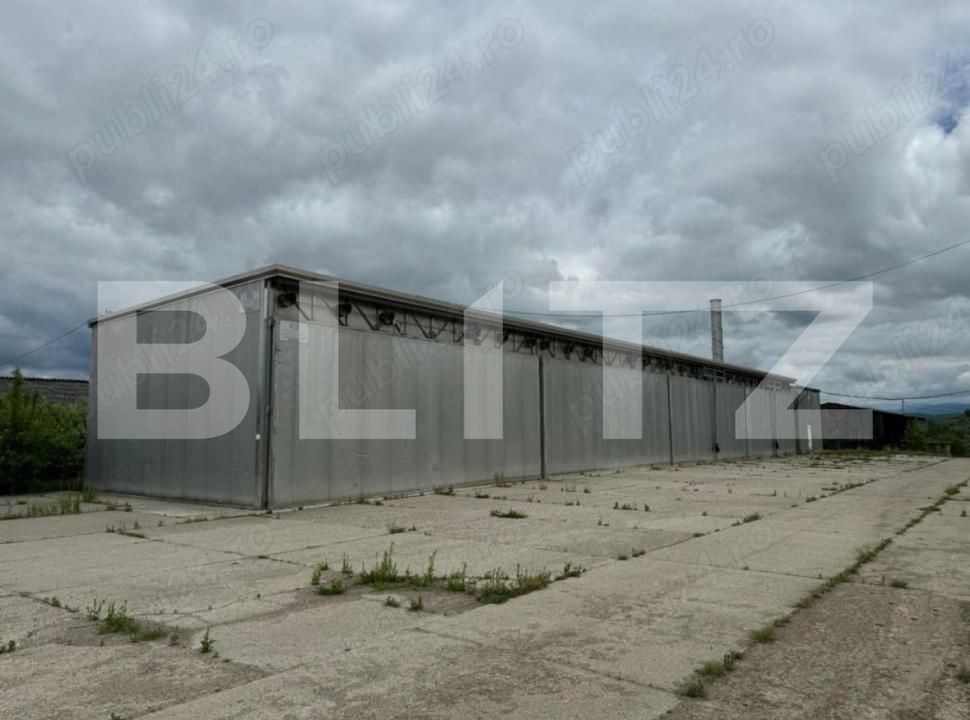 Teren de vânzare Targu Lapus - 176633TV | BLITZ Baia Mare | Poza5