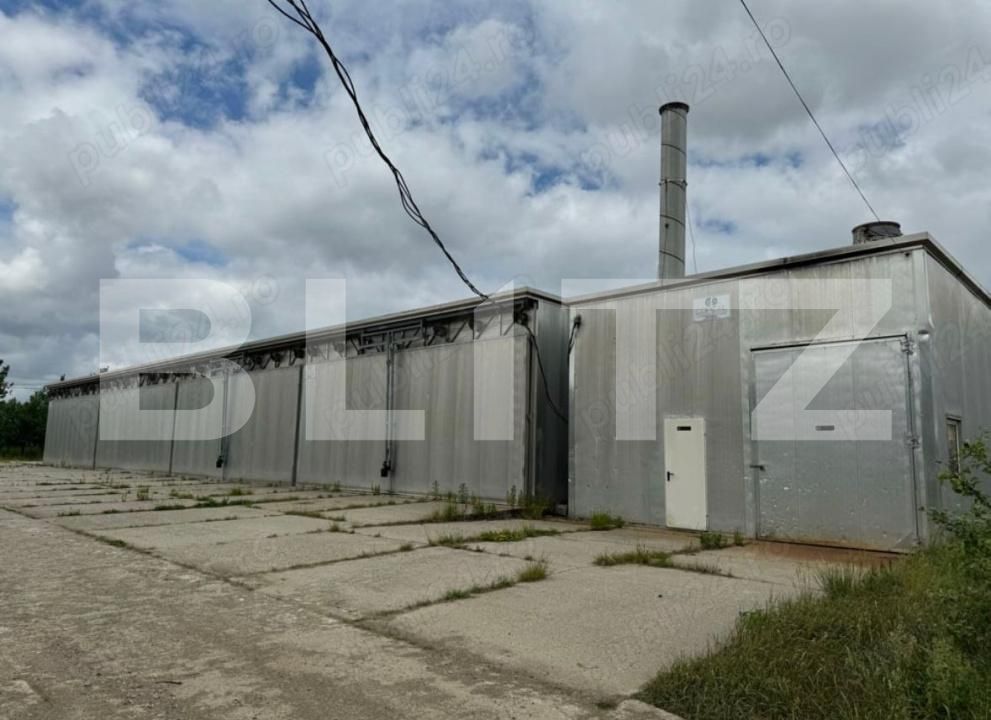 Teren de vânzare Targu Lapus - 176633TV | BLITZ Baia Mare | Poza4