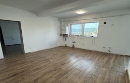 Penthouse de vanzare, cu 3 camere, 65 mp, zona Orasul Vechi