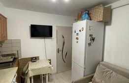 Garsoniera de vanzare, 24 mp, complet renovata, parter, zona Dragos Voda