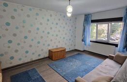 Garsonieră spațioasă și luminoasă, etaj 1, Decebal