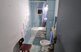 Garsonieră spațioasă și luminoasă, etaj 1, Decebal