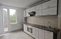 Apartament spațios 2 camere, etaj 1, terasa generoasa si balcon, curte cu BBQ