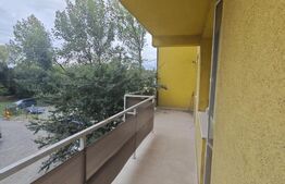 Apartament spațios 2 camere, etaj 1, terasa generoasa si balcon, curte cu BBQ