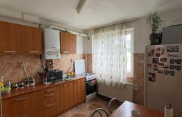 Apartament de vanzare, cu 2 camere, etajul 3, 46 mp, zona policlinica Sf. Maria