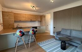 Apartament 2 camere, bloc nou 2024, curte privată și mansardă depozitare-mobilat