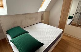 Apartament 2 camere, bloc nou 2024, curte privată și mansardă depozitare-mobilat