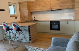 Apartament 2 camere, bloc nou 2024, curte privată și mansardă depozitare-mobilat