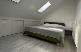 Apartament de vanzare, 54 mp, str. Victor Babes