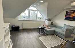 Apartament de vanzare, 54 mp, str. Victor Babes