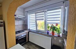 Apartament 2 camere, 52 mp, strada Paltinisului