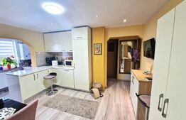 Apartament 2 camere, 52 mp, strada Paltinisului