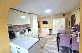 Apartament 2 camere, 52 mp, strada Paltinisului