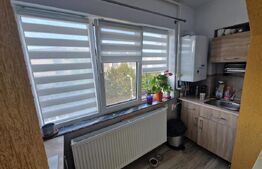 Apartament 2 camere, 52 mp, strada Paltinisului