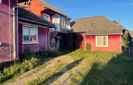 Investitie pentru liniste si oaza de verdeata 