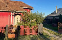 Investitie pentru liniste si oaza de verdeata 