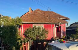 Investitie pentru liniste si oaza de verdeata 