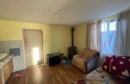 Investitie pentru liniste si oaza de verdeata 