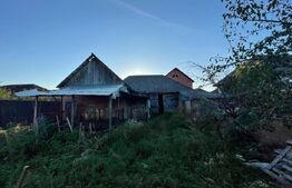 Investitie pentru liniste si oaza de verdeata 