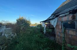 Investitie pentru liniste si oaza de verdeata 