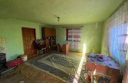 Investitie pentru liniste si oaza de verdeata 