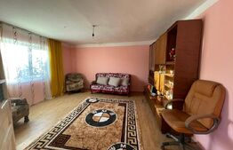 Investitie pentru liniste si oaza de verdeata 