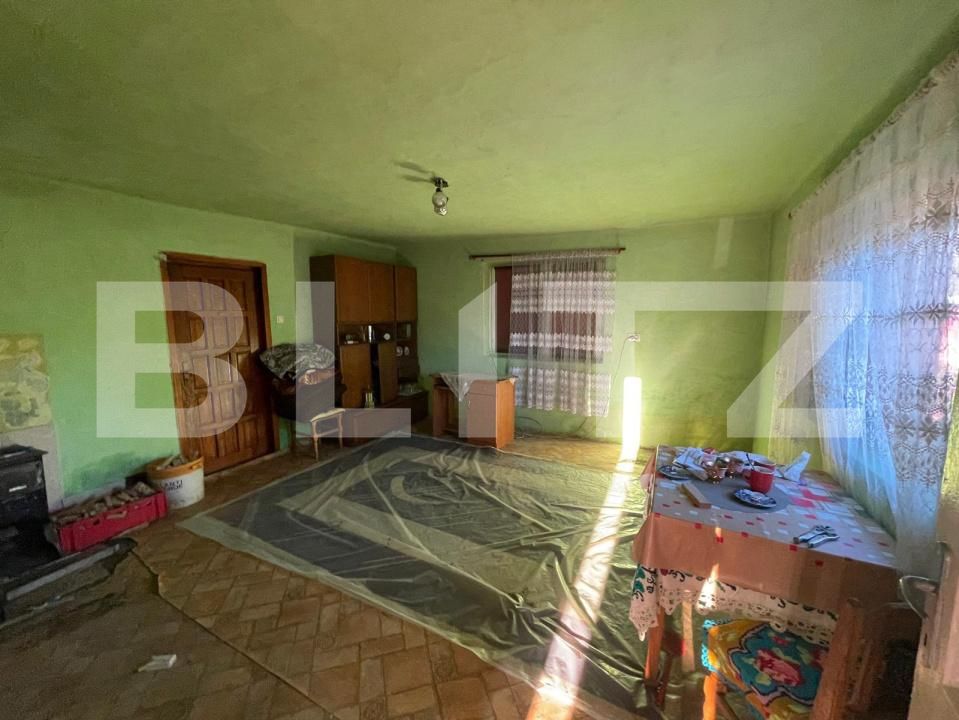 Casa de vânzare 2 camere Lucacesti - 178266CV | BLITZ Baia Mare | Poza10