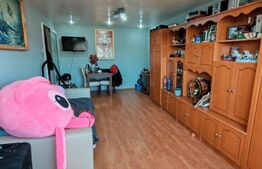 Apartament 2 camere Baia Sprie, decomandat, zona lidl, vedere panoramica