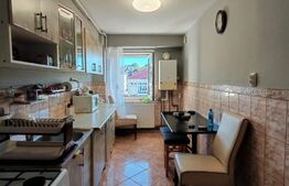 Apartament 2 camere Baia Sprie, decomandat, zona lidl, vedere panoramica