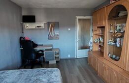 Apartament 2 camere Baia Sprie, decomandat, zona lidl, vedere panoramica