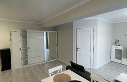 Apartament de 2 camere, 42,50 mp, zona Independentei