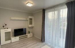 Apartament de 2 camere, 42,50 mp, zona Independentei