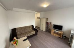 Garsonieră de vânzare, 22 mp utili, zona Sasar