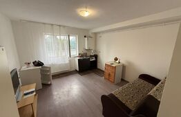 Garsonieră de vânzare, 22 mp utili, zona Sasar