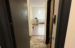 Garsonieră de vânzare, 22 mp utili, zona Sasar