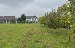 Casă semifinisată cu teren generos – 377 mp utili, 5754 mp teren – ideală pentru