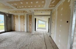 Casă semifinisată cu teren generos – 377 mp utili, 5754 mp teren – ideală pentru