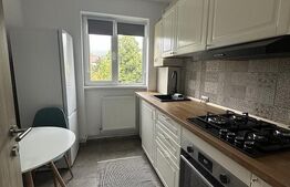 Apartament 2 camere, 45 mp, cartier Săsar 