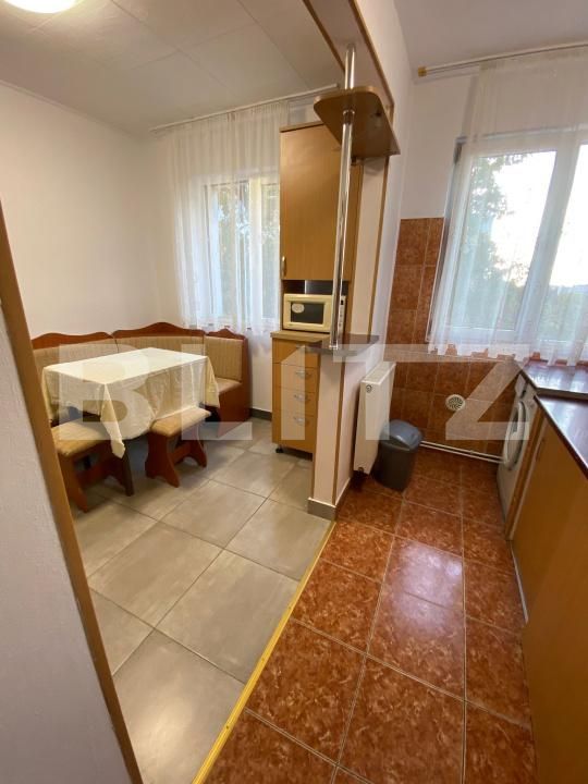 Apartament de închiriat 2 camere Decebal - 179607AI | BLITZ Baia Mare | Poza7