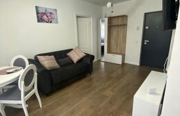 Apartament 2 camere de  LUX, zona Independentei